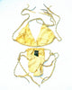 Chamois Bikini